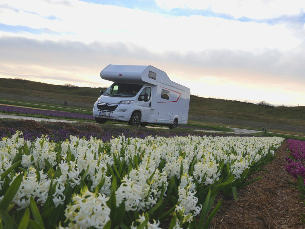 LMC Tourer Alkoven 6 Screen