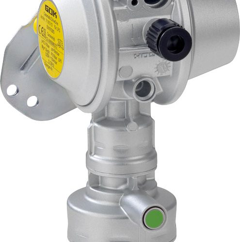 GOK Caramatic DriveOne Sicherheits-Gasdruckregler Vertikal 30 mbar - Gasregler & Gasschläuche