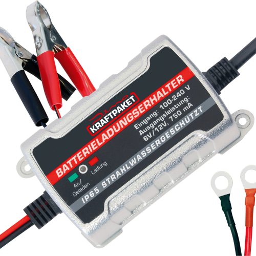 Dino Kraftpaket Batterie Erhaltungsladegerät 6 V /12 V 750 mA - Batterie-Ladegeräte