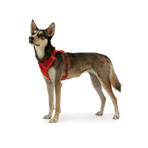 Ruffwear Front Range gepolstertes Hundegeschirr Red Sumac M  - Hundezubehör