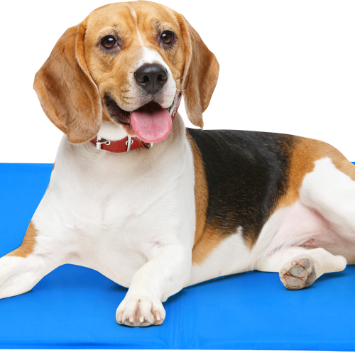 Edco Kühlmatte für Haustiere 50x40 cm - Hundezubehör
