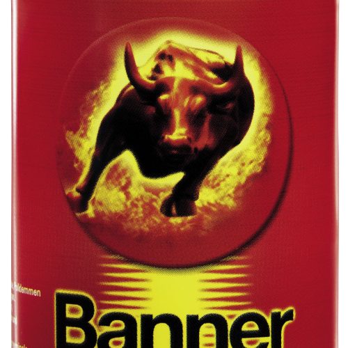 Banner Batterien-Polfett 1 kg - Zubehör Batterien