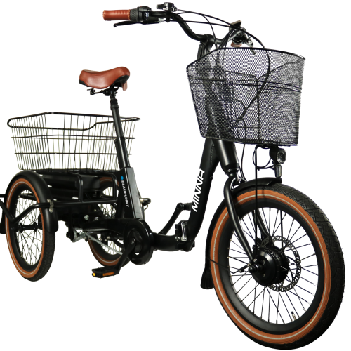 Blaupunkt E-Trike / E-Lastenrad Minna - Outdoor Mobilität