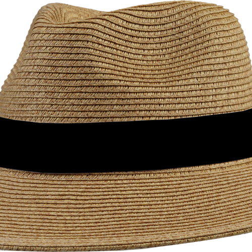 P.A.C Ecuador Panama Unisex Strohhut hellbraun L - XL - Hüte & Mützen von PAC