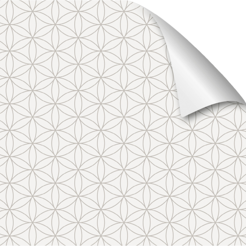 mySpotti Fresh Duschrückwandfolie 90 x 210 cm Motiv Kini - Campingduschen & Zubehör