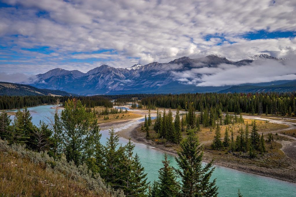 jasper national park 581987