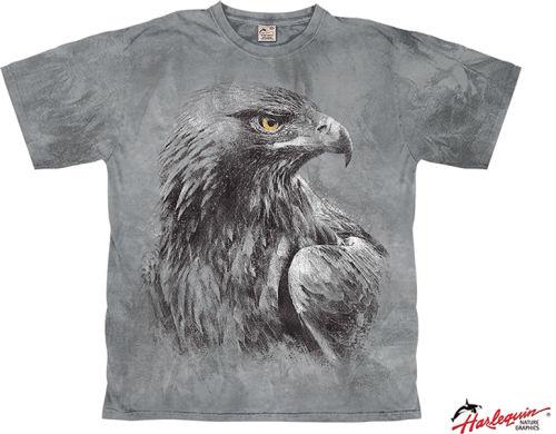 Harlequin Eagle Shadow T-Shirt dunkelgrau XXXL - Herrenshirts, -hemden & -pullover