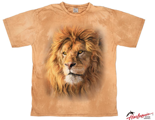 Harlequin Portrait of a Lion Herren T-shirt orange M - Herrenshirts, -hemden & -pullover