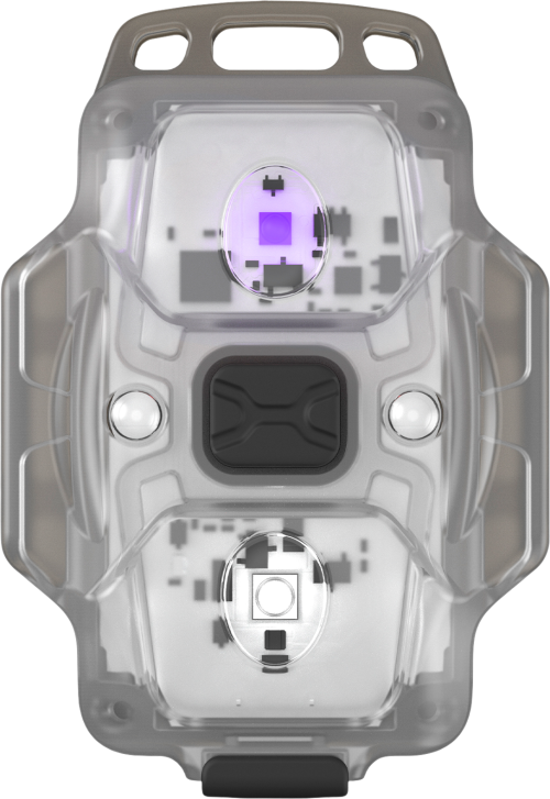 Armytek Crystal kompakte Multilampe mit weißem und ultravioletten Licht - LED Campingleuchten