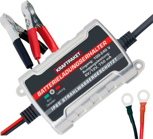 Dino Kraftpaket Batterie Erhaltungsladegerät 6 V /12 V 750 mA - Batterie-Ladegeräte