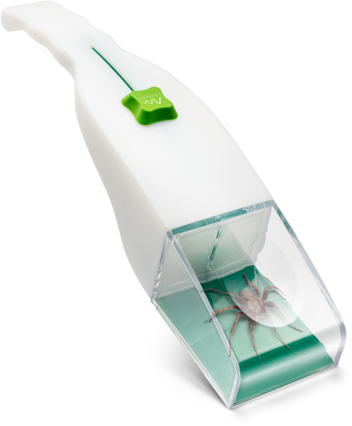 Gardigo Lebendinsektenfänger mit Lupe - Insektenabwehr & Mückenschutz