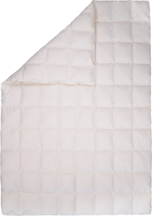 Grüezi Bag Ganzjahres-Bettdecke DownWool Dreams 200 x 220 cm - Decken