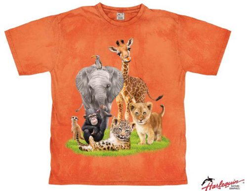 Harlequin African Babies Kinder T-Shirt  orange 152 - Kinder T-Shirts & -hemden