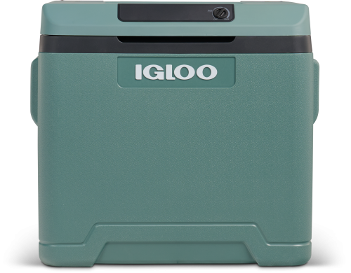 Igloo IE42 AC/DC Thermoelektrische Kühlbox 12/24 V und 230 V Anschluss 42 Liter spruce - Thermoelektrische Kühlboxen