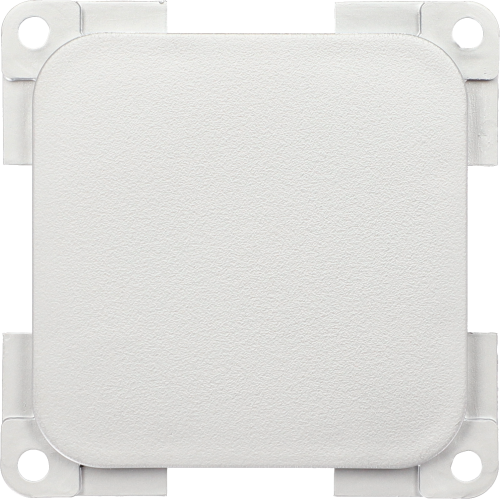 Inprojal System 10.000 Blindabdeckung altsilber mattglänzend - Schalter, Taster & Rahmen