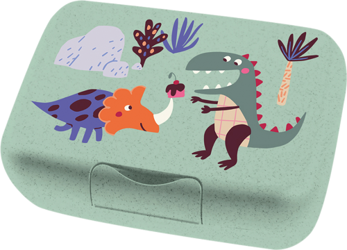 Koziol Candy L Box Lunchbox / Brotdose mit Trennschale organic green rex - Lebensmittelbehälter / Vorratsdosen