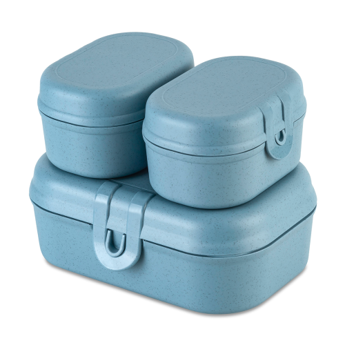 Koziol Pascal Ready Mini Lunchbox-Set 3-teilig nature flower blue - Lebensmittelbehälter / Vorratsdosen