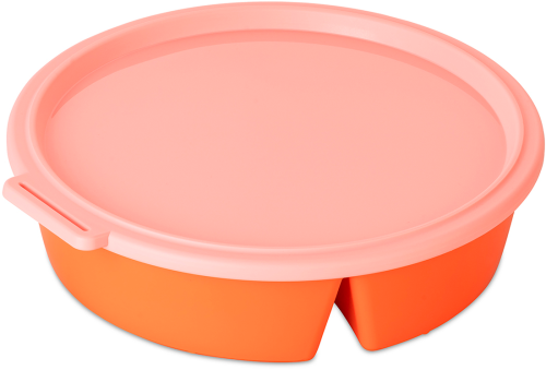 Koziol Schale NORA BOX mit Deckel  1,1 Liter strong coral / sweet pink - Schüsseln & Schalen