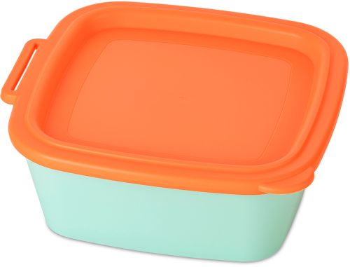 Koziol Schale mit Deckel NORA BOX 750ml sweet green / strong coral - Schüsseln & Schalen