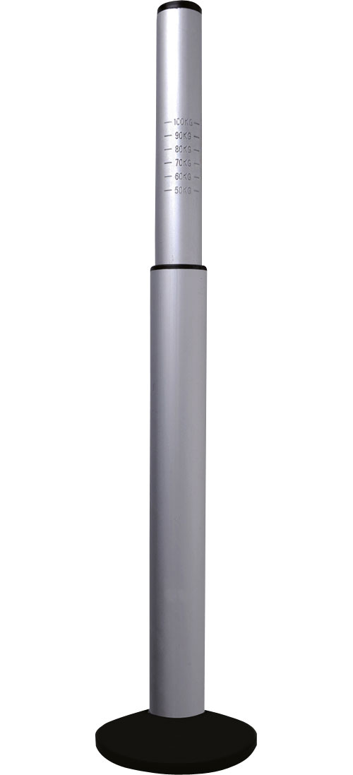 ProPlus Deichselwaage mit Standplatte - Waagen