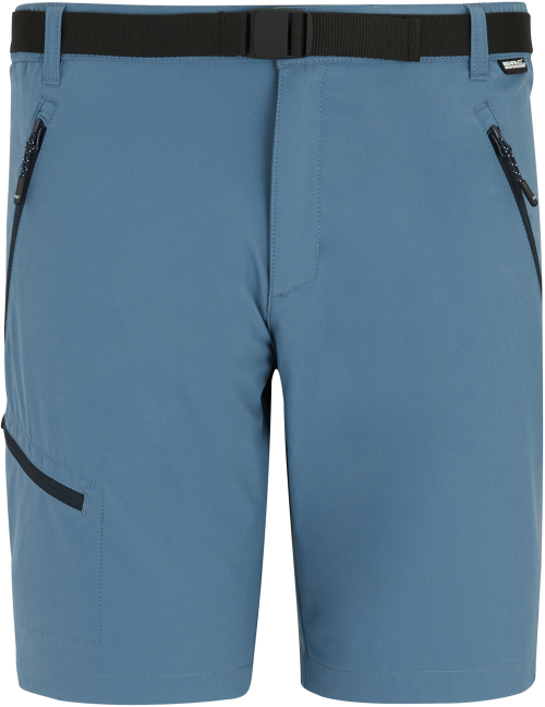 Regatta Xert Stretch Herren Wandershorts hellblau 50 - Herrenhosen & -shorts