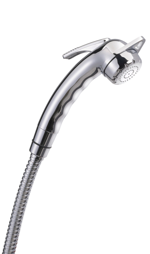 Reich Charisma Stellbrause (Chrom) - Ersatzteile Haushalt