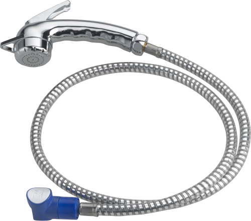 Reich Stellbrause für Versorgungsklappe Charisma Chrom mit 2 Meter Schlauch  - Handbrausen