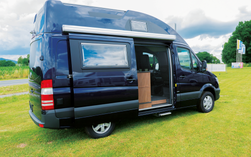 Remis REMIcare Tür-Insektenschutz Mercedes Sprinter / VW Crafter Bj. 2006-2016 Hohe Tür - Türvorhänge & Fliegengitter