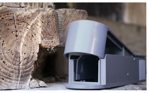 Swissinno Lebendfalle Maushaus inkl. Köder - Insektenabwehr & Mückenschutz