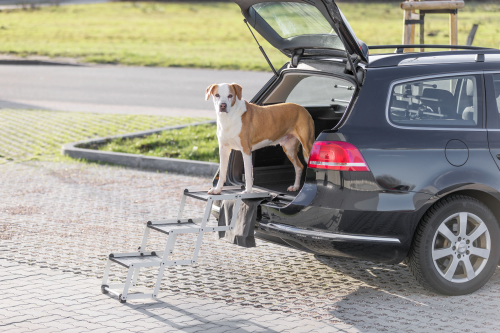 TRIXIE Aluminium Falt-Treppe für Hunde - Hundezubehör