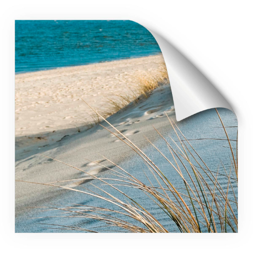 mySpotti Fresh Duschrückwandfolie 90 x 210 cm Motiv Sea Cost - Campingduschen & Zubehör