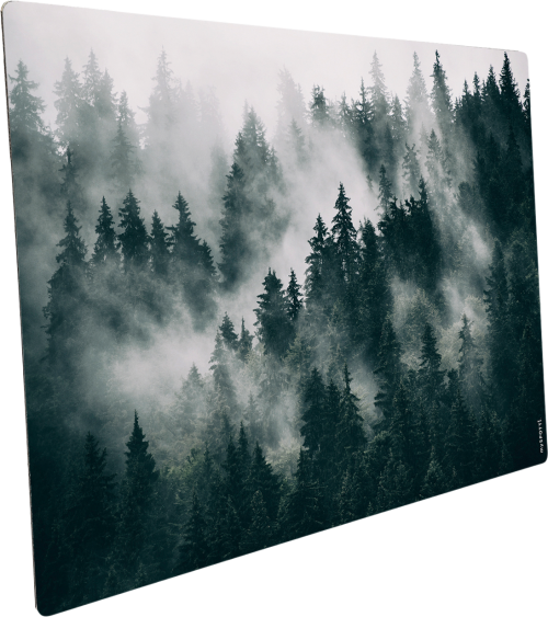 mySpotti Pop Spritzschutz für die Küche 59 x 42 cm Motiv Zea - Möbelzubehör